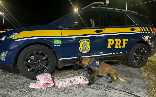 Foto Policia Rodoviaria Federal