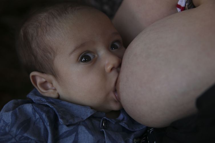 bebes e gestantes precisam de comidas leves e mais liquido no calor